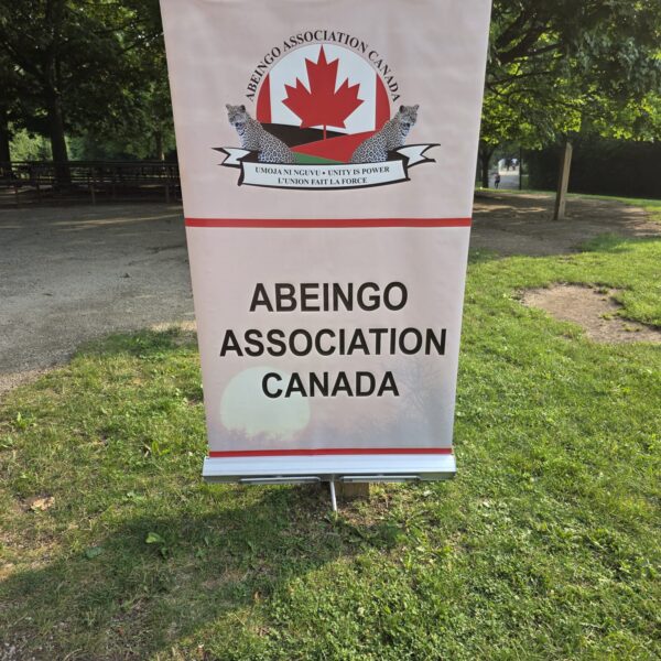 Abeingo Strategic Plan 2026–2029​